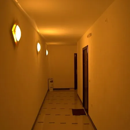 Vezic