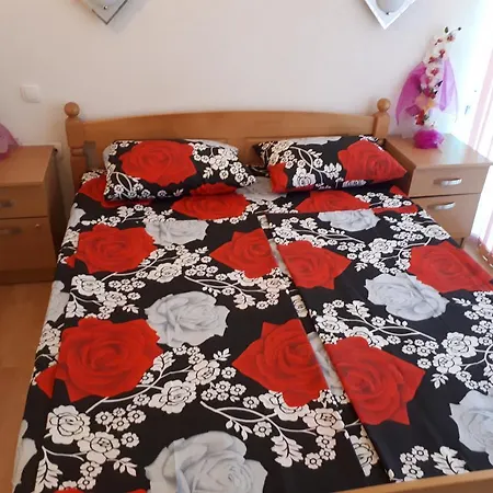 Vezic Guest house 3*
