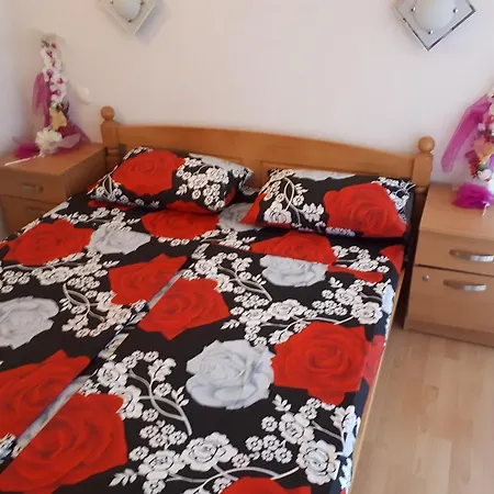 Guest house Vezic 3*